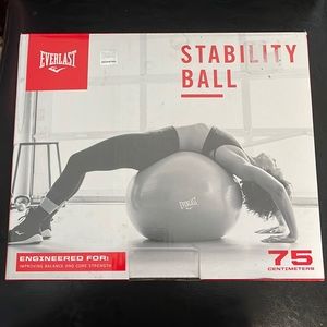 Stability ball with hand pump